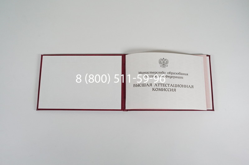 Диплом доктора наук 1995-2006 года в Братске