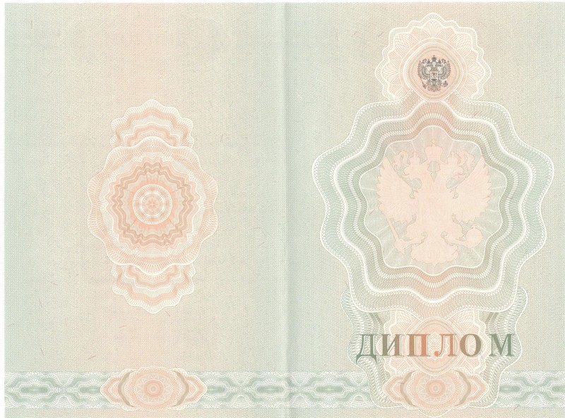 Купить Диплом о начальном образовании 2007-2009 годов в Братске Купить Диплом о начальном образовании 2007-2009 годов в Братске