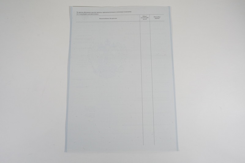 Диплом о начальном образовании 2007-2009 годов в Братске Диплом о начальном образовании 2007-2009 годов в Братске